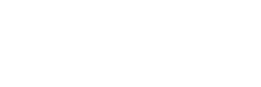 Verdyn